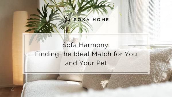 6 Tips for Choosing Pet Friendly Sofas