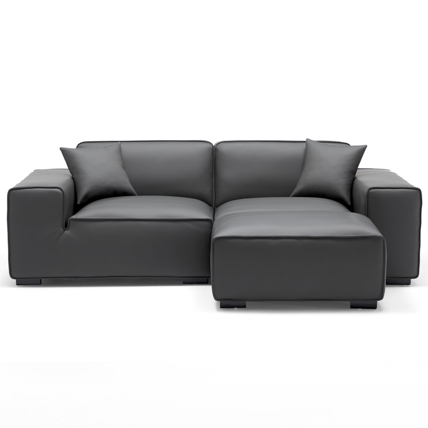 Domus Modular Dark Gray Leather Sofa and Ottoman-Dark Gray-94.5″