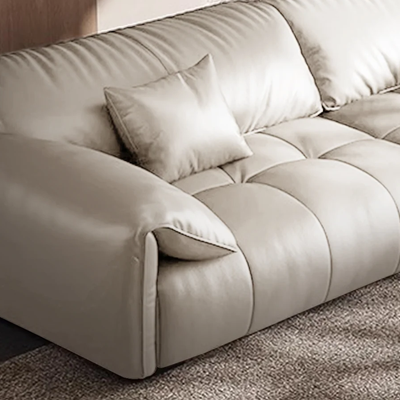 Anorea Brown Contemporary Minimalist Sofa