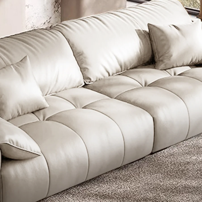 Anorea Brown Contemporary Minimalist Sofa