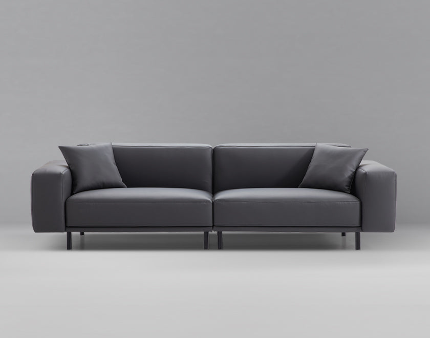 Noble Dark Gray Leather Sofa-hidden