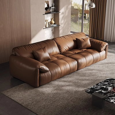 Anorea Brown Contemporary Minimalist Sofa