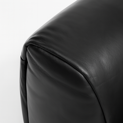 Rex Leather Sofa-Black