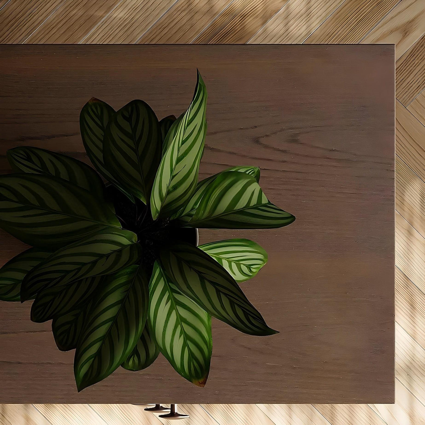 Arden Solid Wood Sideboard Cabinet