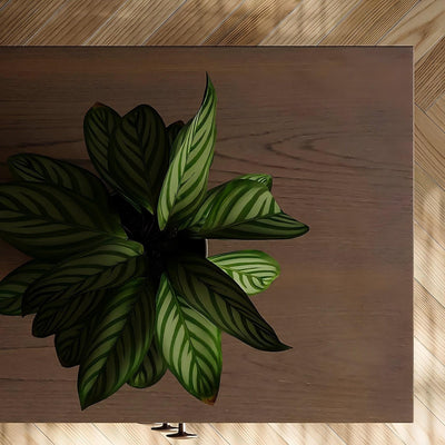 Arden Solid Wood Sideboard Cabinet